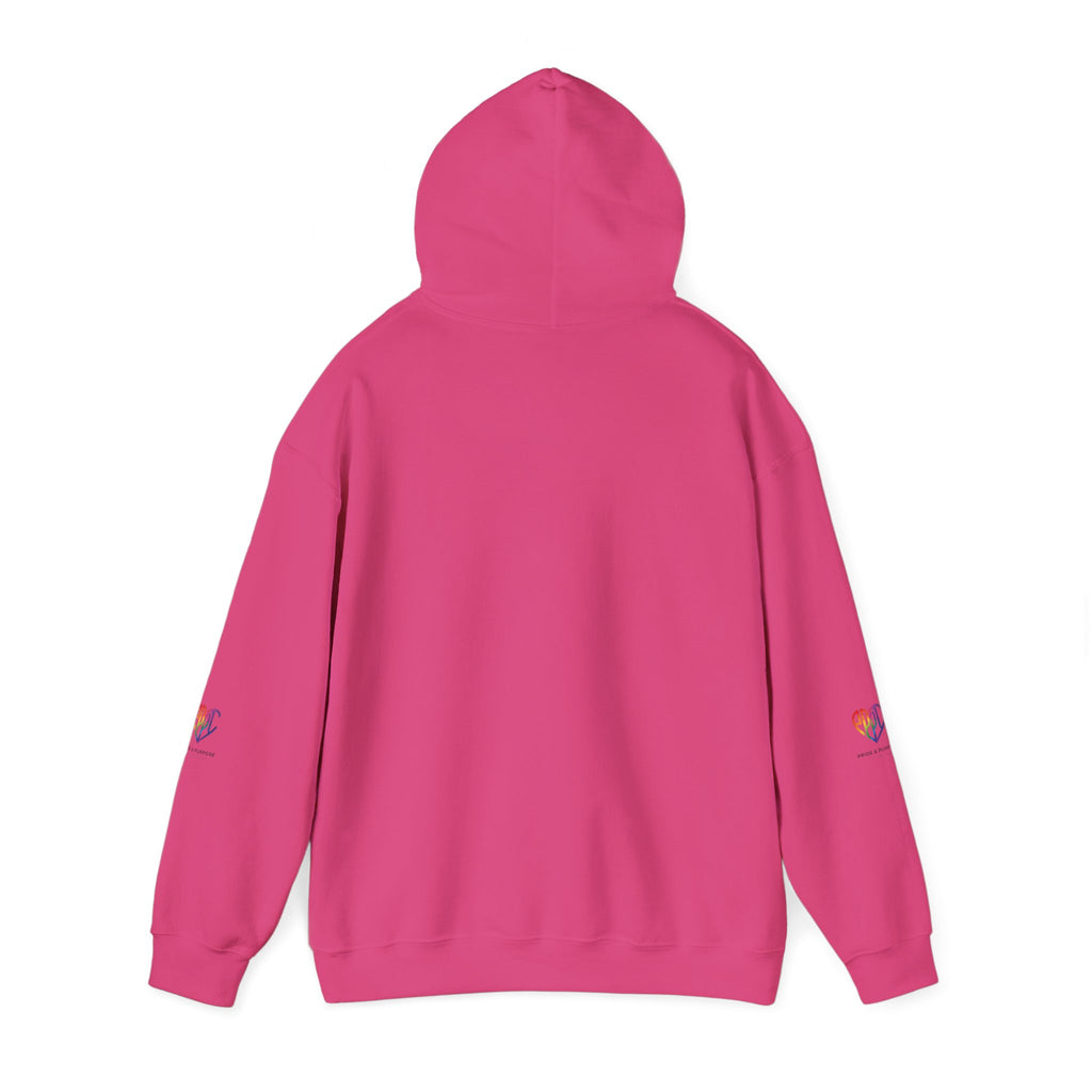 And God Said; Let There Be Pride™ Premium Pullover Hoodie
