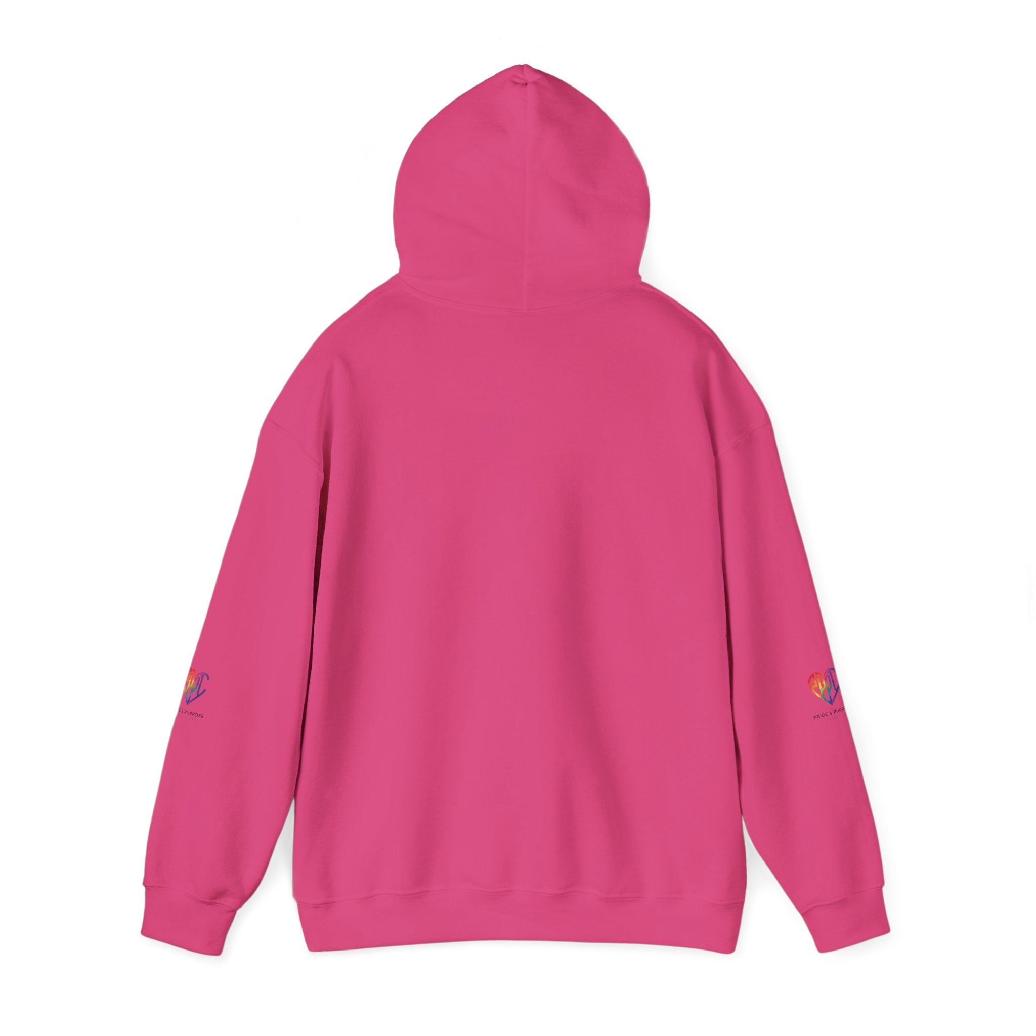 And God Said; Let There Be Pride™ Premium Pullover Hoodie
