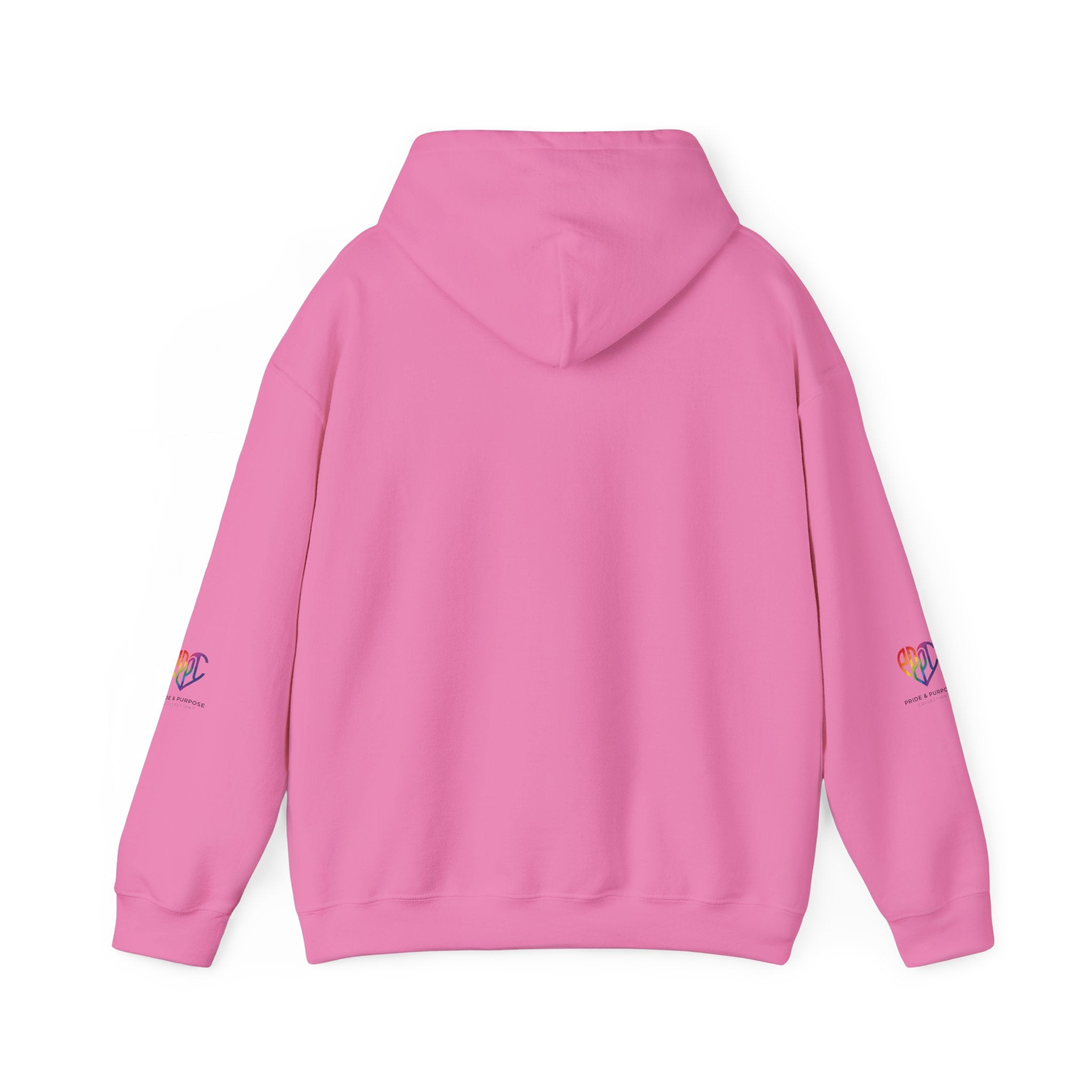 And God Said; Let There Be Pride™ Premium Pullover Hoodie