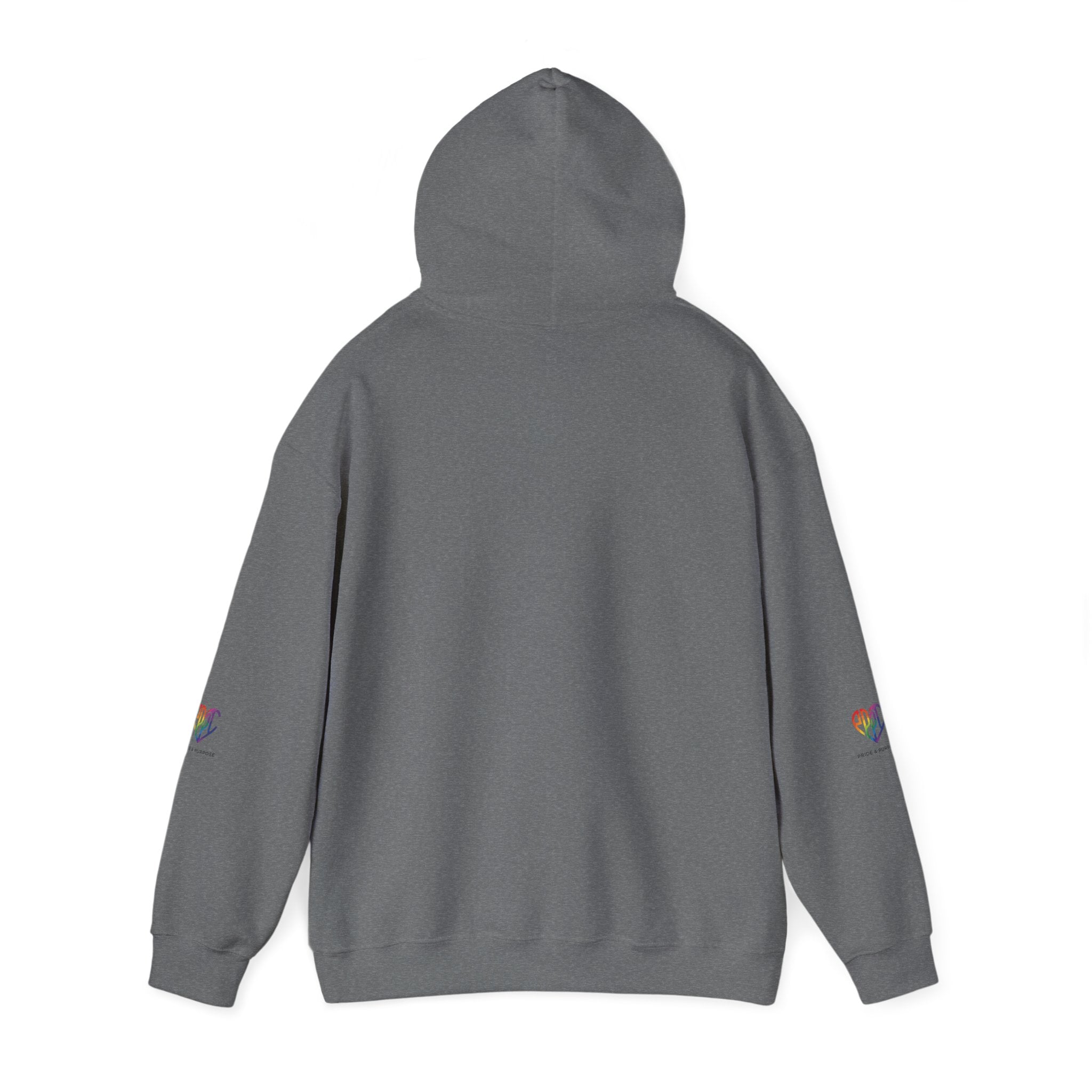 And God Said; Let There Be Pride™ Premium Pullover Hoodie