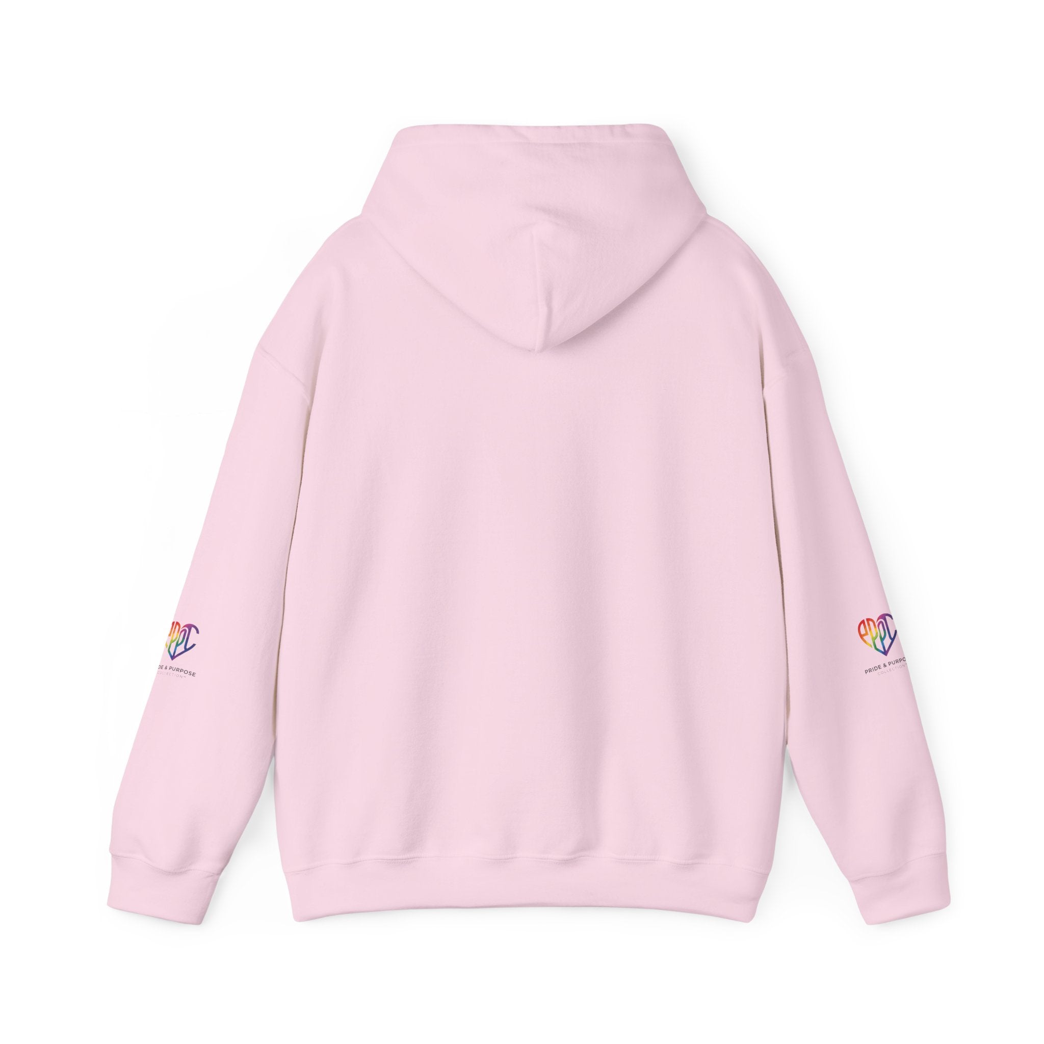 And God Said; Let There Be Pride™ Premium Pullover Hoodie