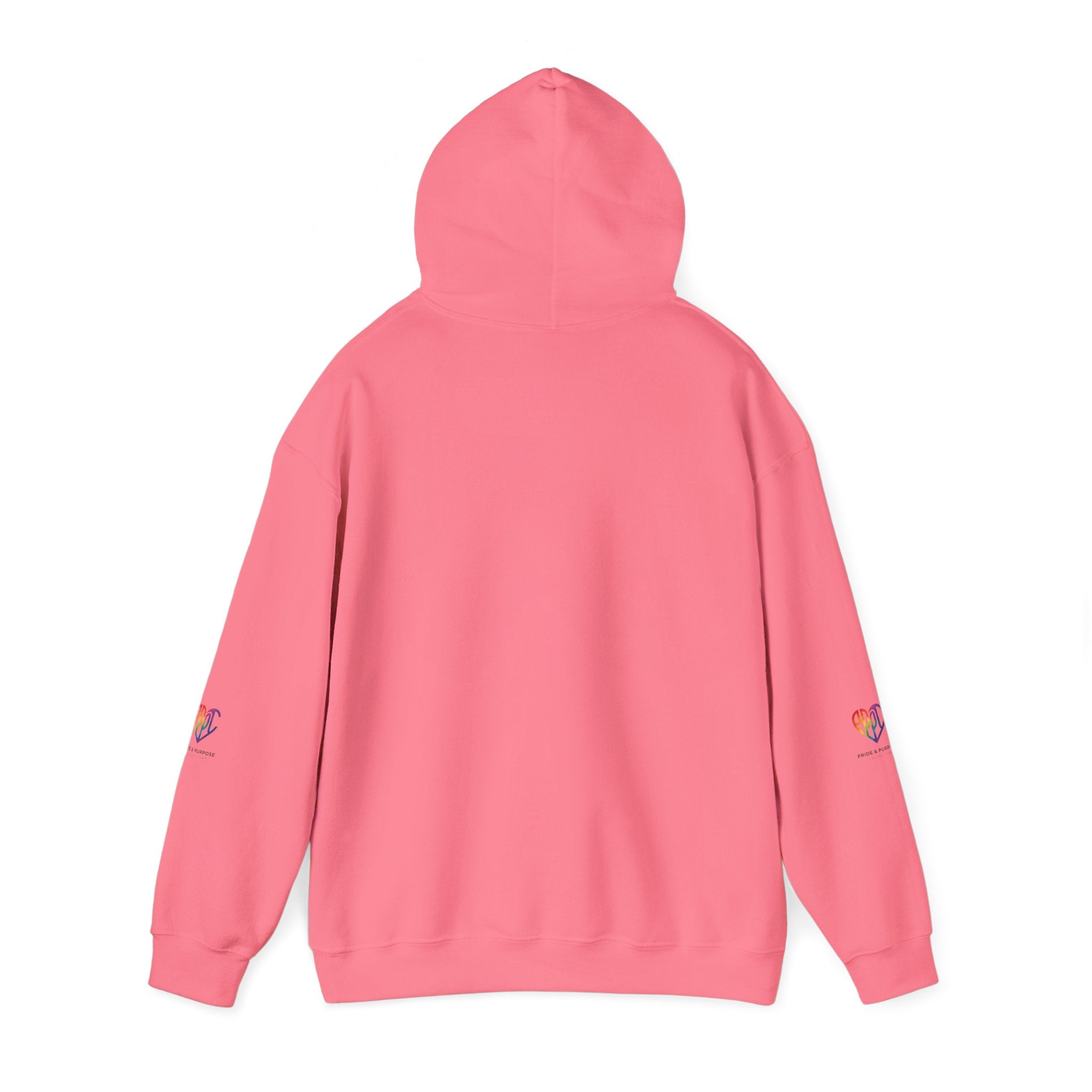 And God Said; Let There Be Pride™ Premium Pullover Hoodie