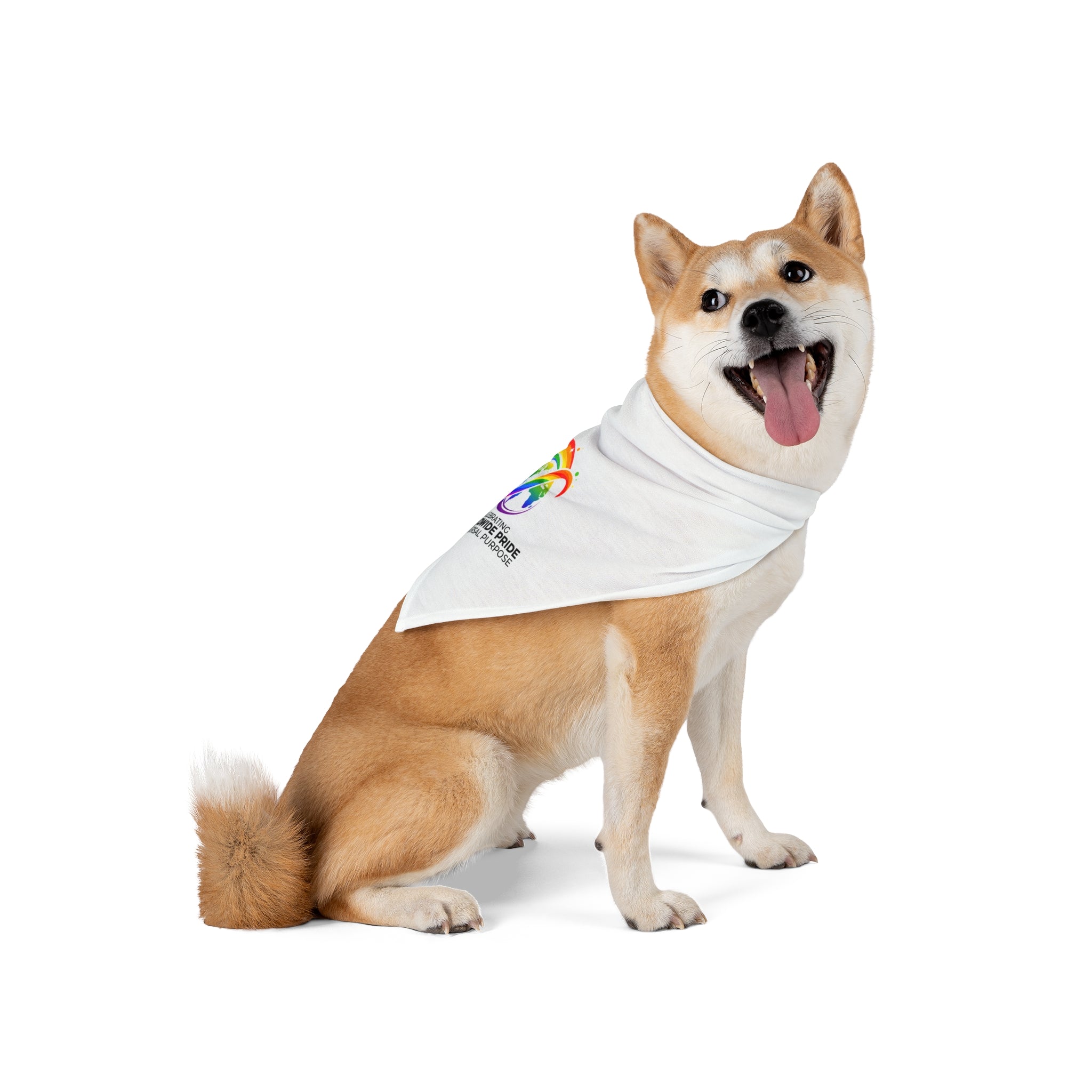 Worldwide Pride & Universal Purpose™ Premium Pet Bandana Collar | Pride Affirmation
