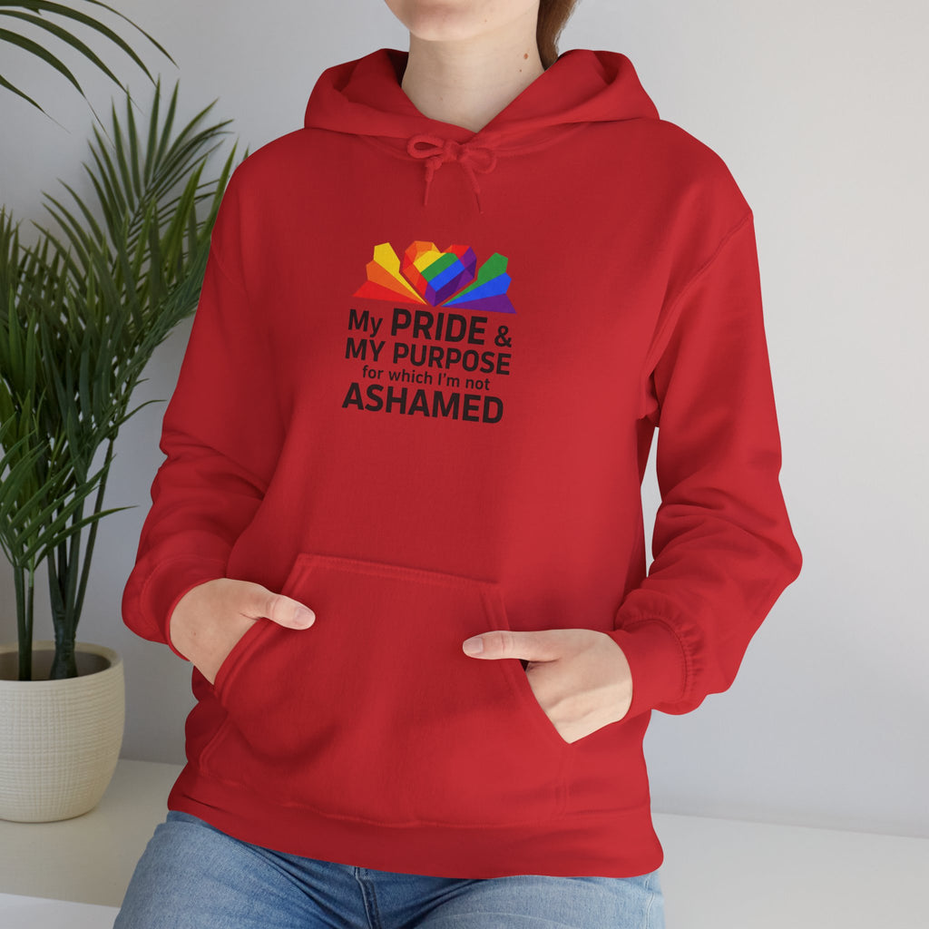 LGBTQ+ Pride 'My Pride & My Purpose' Hoodie