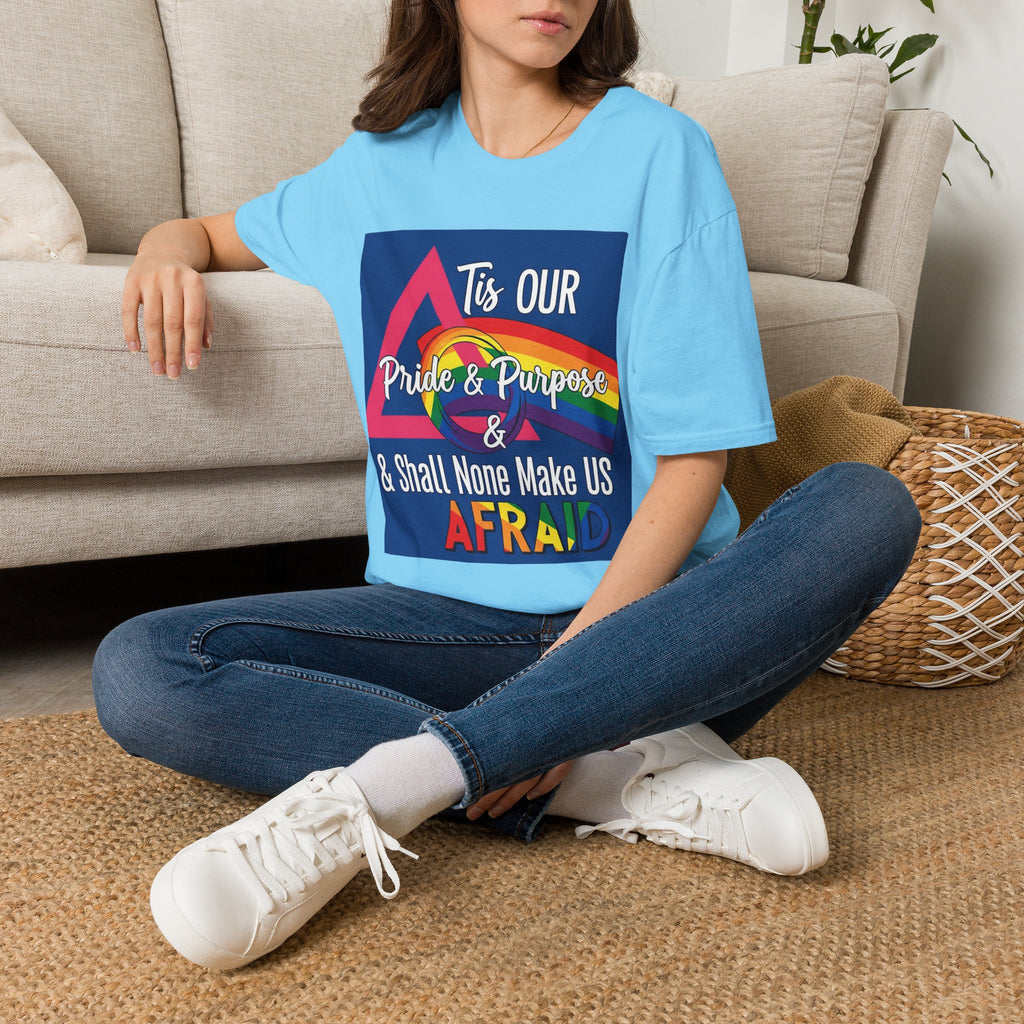 'Tis Our Pride & Purpose™ Softstyle T-Shirt