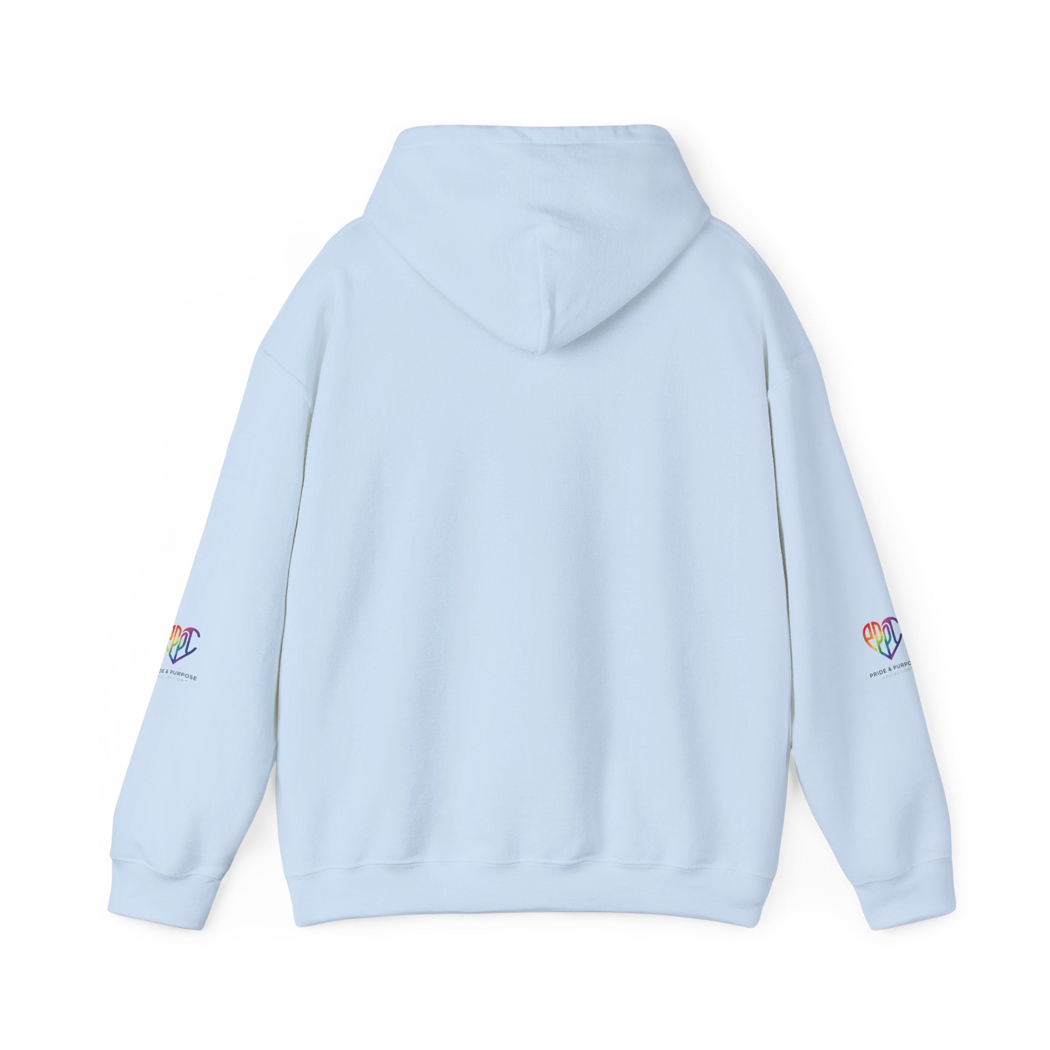 And God Said; Let There Be Pride™ Premium Pullover Hoodie