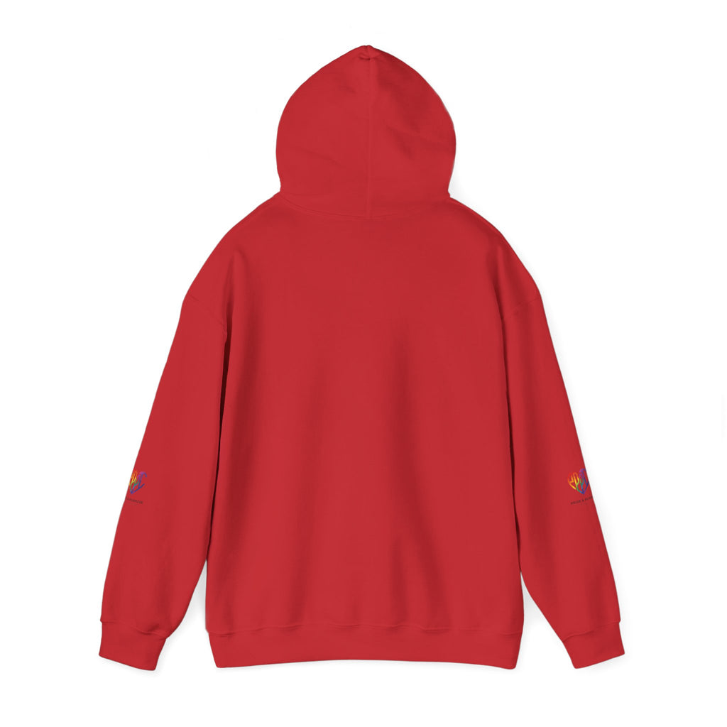 And God Said; Let There Be Pride™ Premium Pullover Hoodie
