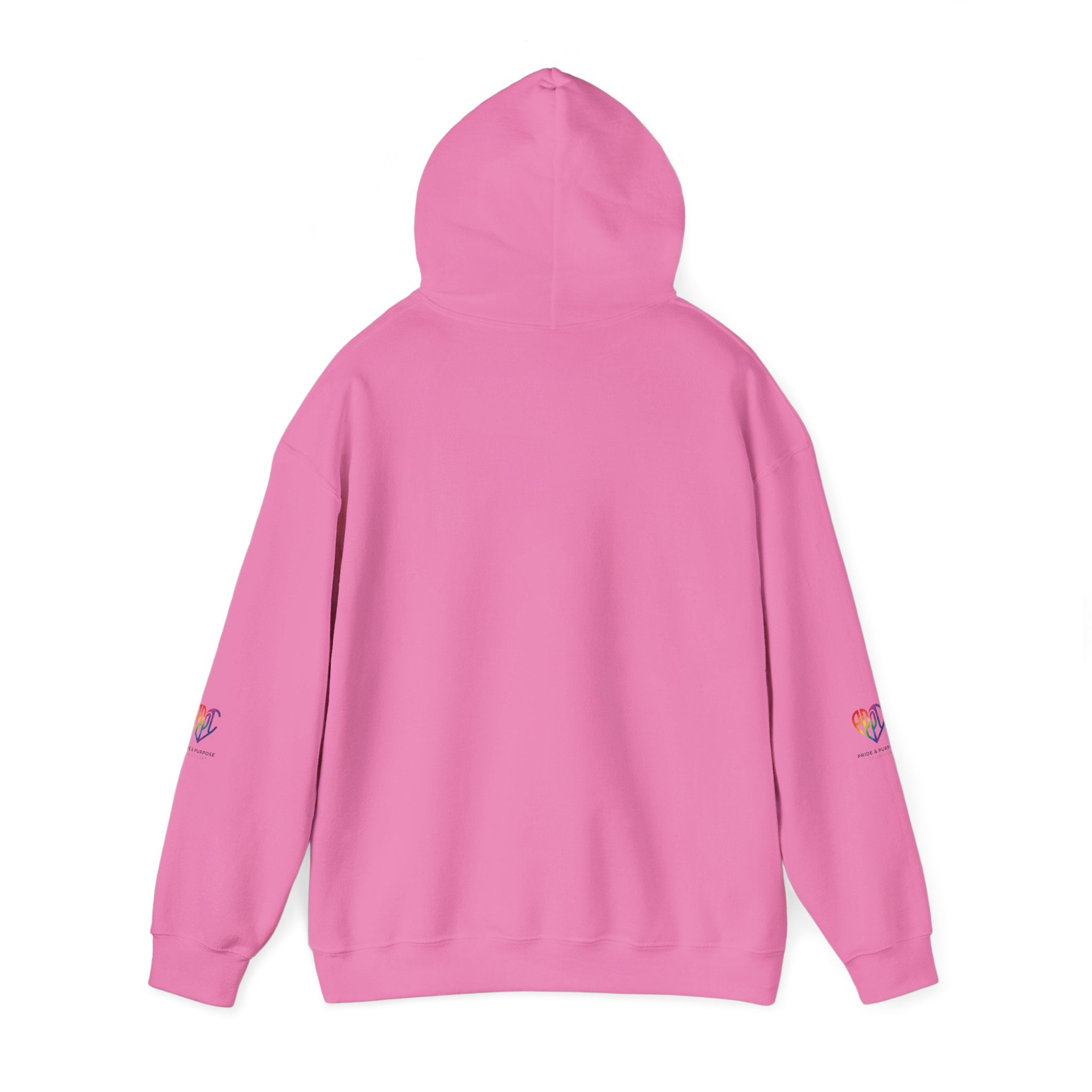 And God Said; Let There Be Pride™ Premium Pullover Hoodie