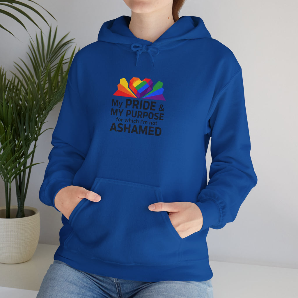 LGBTQ+ Pride 'My Pride & My Purpose' Hoodie